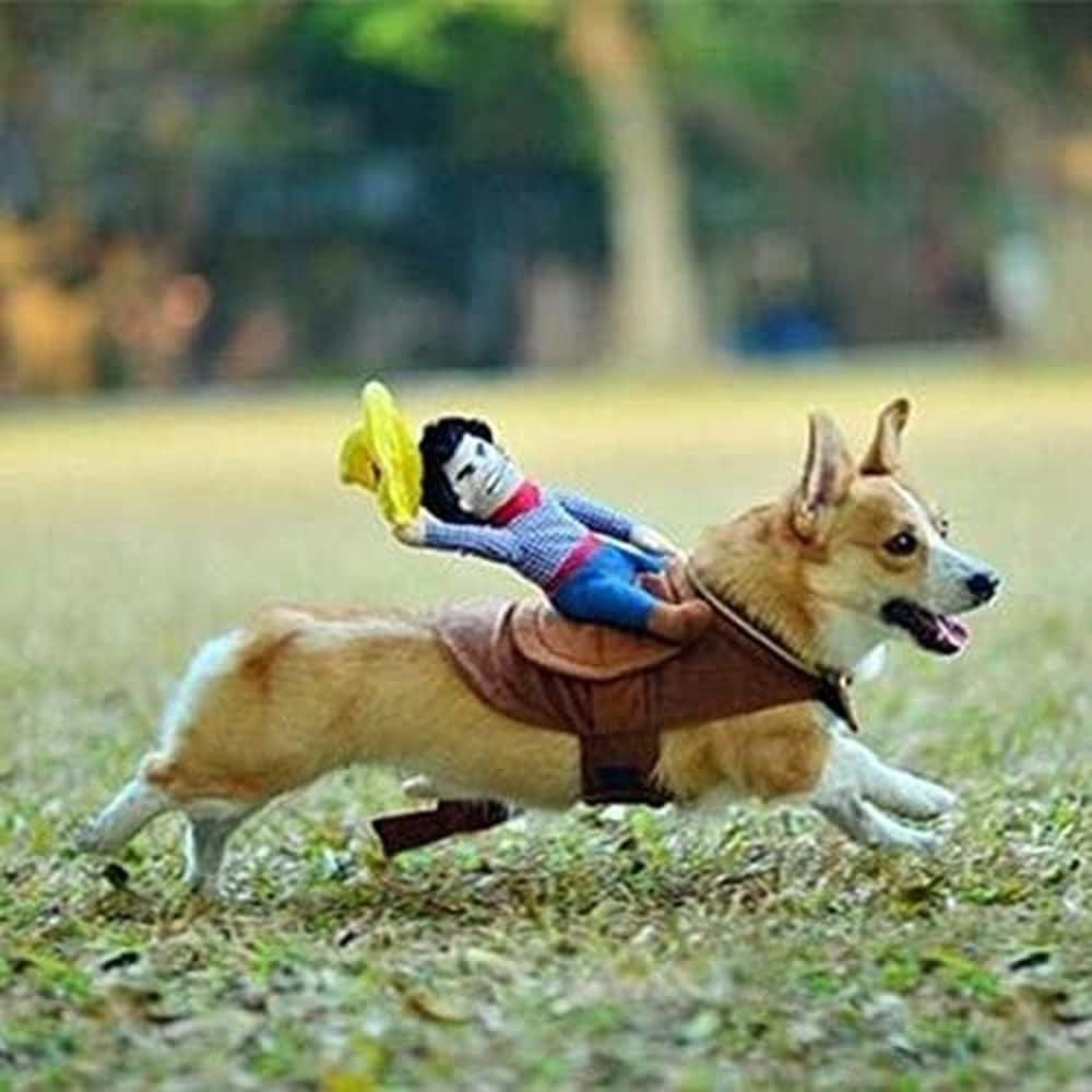 Halloween Cowboy Costume for Dogs & Cats - Funny Party Apparel for Pets (X-Large)