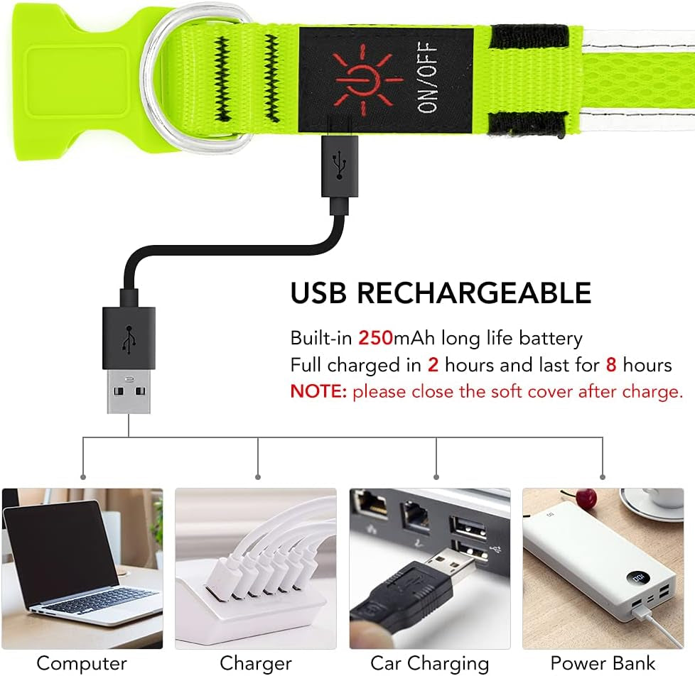 Light up Dog Collar, USB Rechargeable LED Puppy Collar Super Bright Adjustable Glowing Dog Lights for Night Walking (Green, Small)